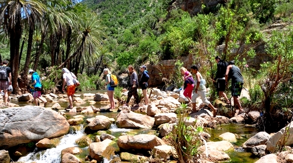 groups surf tours morocco